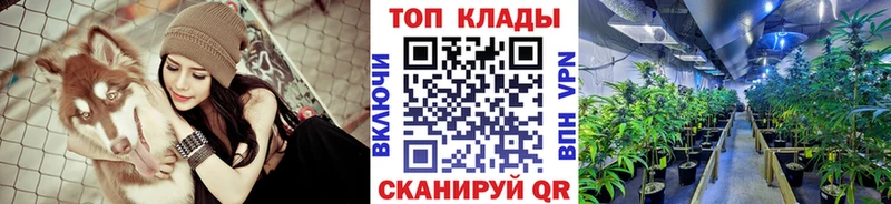 Виды наркоты Ардатов СОЛЬ  Каннабис  Кокаин  Меф  Гашиш 