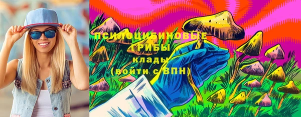 ГАЛЛЮЦИНОГЕННЫЕ ГРИБЫ Няндома