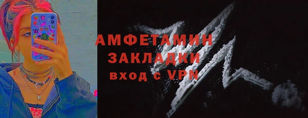 ГАЛЛЮЦИНОГЕННЫЕ ГРИБЫ Няндома