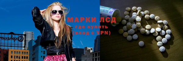 ГАЛЛЮЦИНОГЕННЫЕ ГРИБЫ Няндома