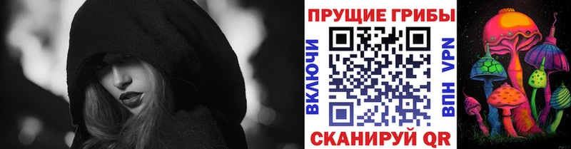 где найти   Ардатов  Псилоцибиновые грибы Psilocybine cubensis 